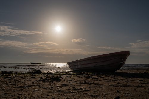 035 DSC 6090