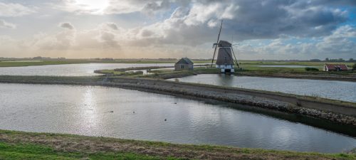 116 DSC 6628