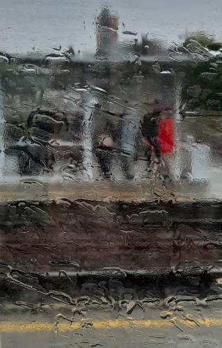 1 Nicole-Pieters abstract