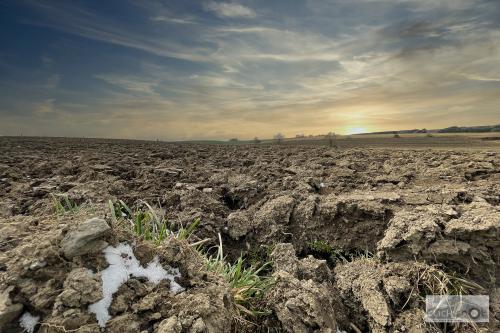 22 David Let-it-now-4