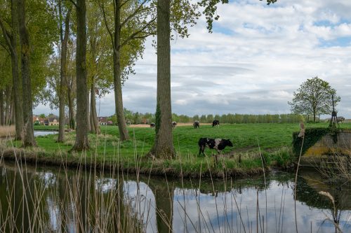 32 -GREET-A-Damme-26