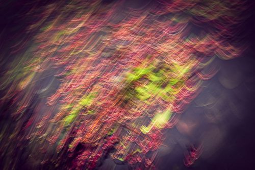 Elfriede Abstract.jpeg