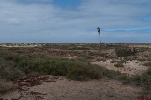 Nicole-P-eenzaamheid